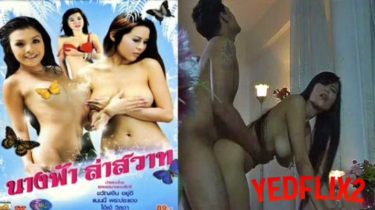เย็ดหีสาวไทย เย็ดสดแตกใน เย็ดสด เย็ดรัว หีไทย